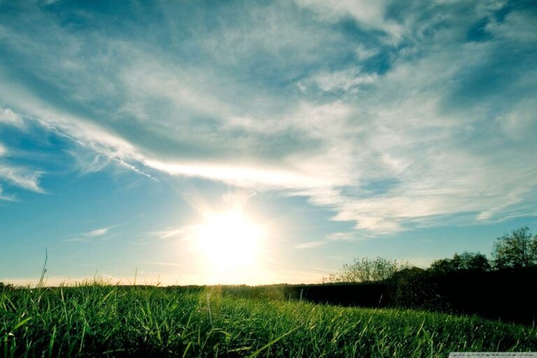 Day Cab Glider Trucks For Sale: Your Ultimate Guide to Power, Efficiency, and Smart Investment