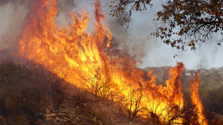Decoding the Fire Suppression System For Food Truck Price: Your Ultimate Guide to Safety, Compliance, and Smart Investment