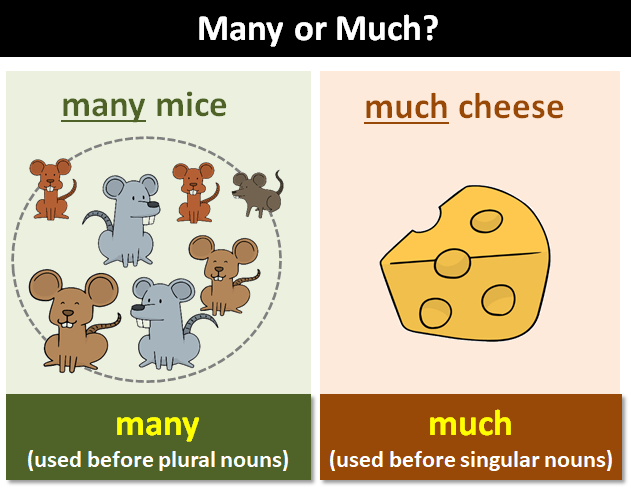 How Much Is A U-Haul Truck Per Day? Unraveling the True Cost of Your Move