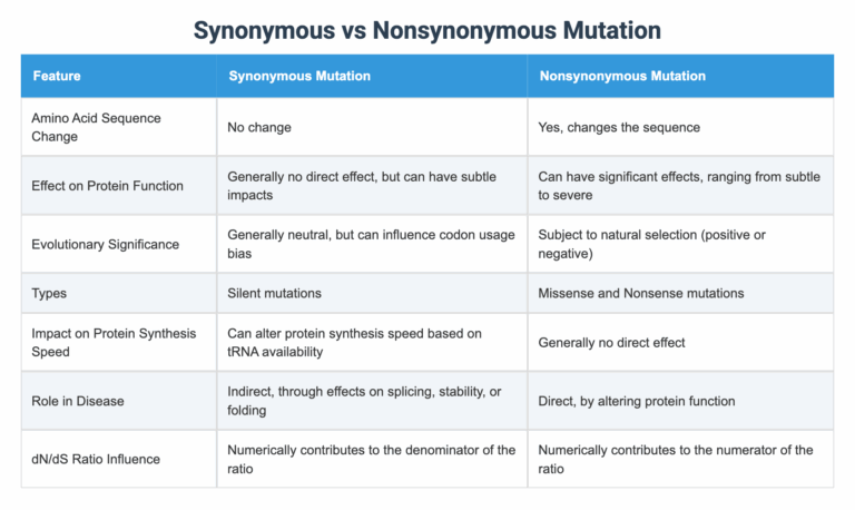 Mastering the Nuance: Leading Synonyms vs. Simply Synonymous – Elevating Your Content and SEO