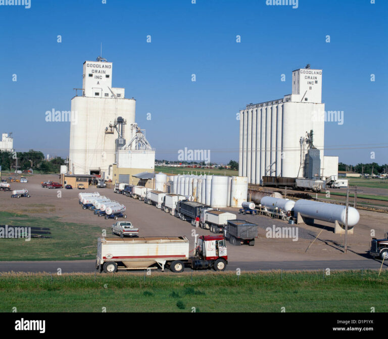 Navigating the Terrain: Your Ultimate Guide to Dump Trucks For Sale Kansas City