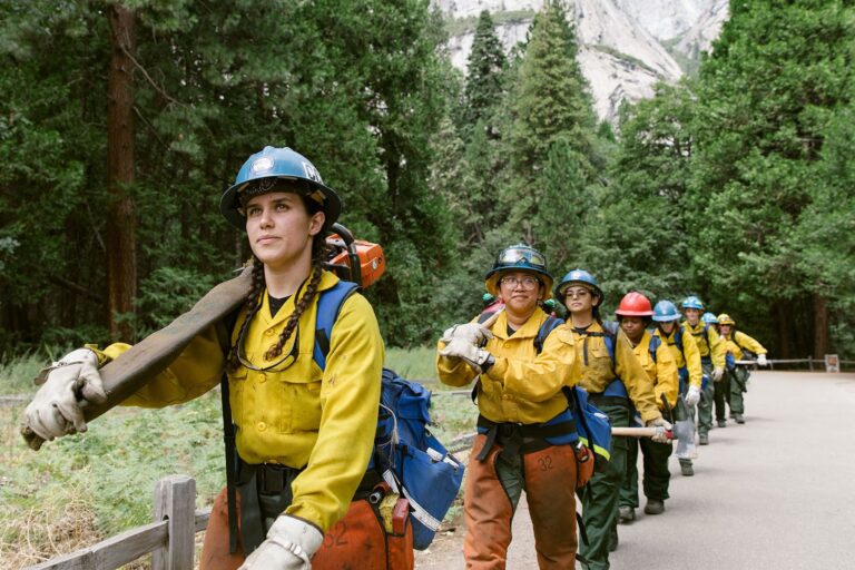 Navigating the Wild: Your Ultimate Guide to Finding Wildland Brush Trucks For Sale