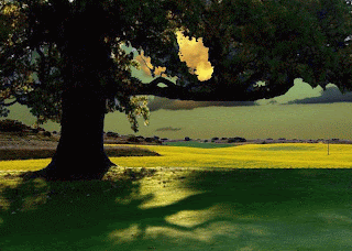 The Alchemy of Aspiration: How Do Car Companies Become High End?