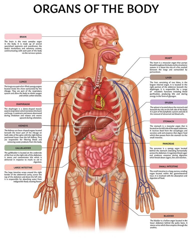 The Ultimate Guide to Finding Your Dream Baby Blue Jeep Wrangler For Sale: Adventure Awaits in Style