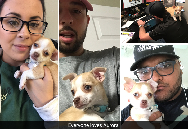 The Unseen Architecture: Unraveling the Secrets of Raney Struck Parts in Catalysis