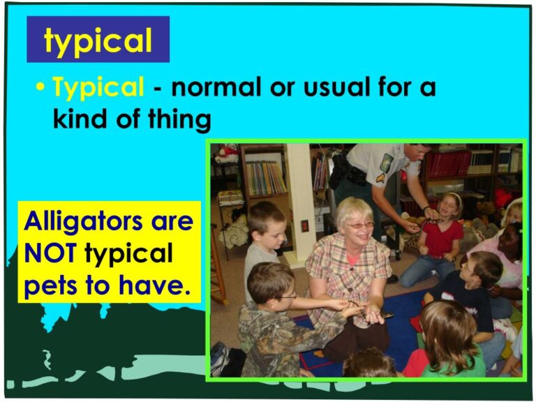 The Unseen Symphony: A Deep Dive into the Typical Component Breakdown Of A Truck Cab