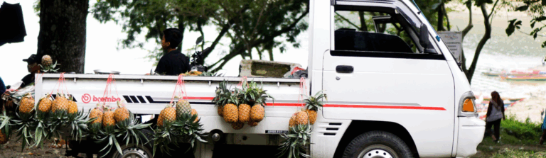 The Unsung Heroes of the Highway: A Deep Dive into Speedco Truck Lube and Tires for Ultimate Uptime