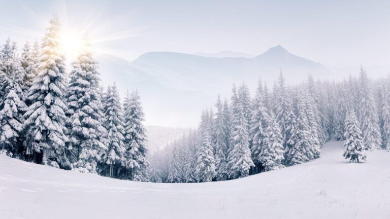 Unearthing the Winter Warrior: Your Expert Guide to Buying Snow Plow Trucks on Craigslist