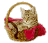 Unearthing Your Dream U-Haul Camper: The Definitive Craigslist Search Guide