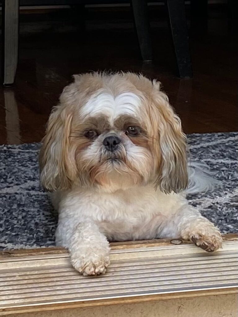 Unlock Smyrna’s Hidden Gems: Your Definitive Guide to Redheaded Blackbelt Classifieds Smyrna