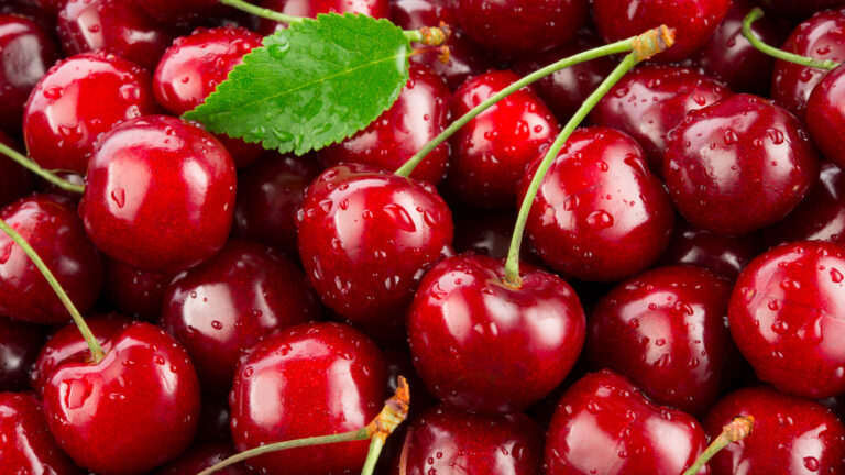 Unlocking Opportunities: Your Ultimate Guide to Cherry Truck Sales in Fontana CA