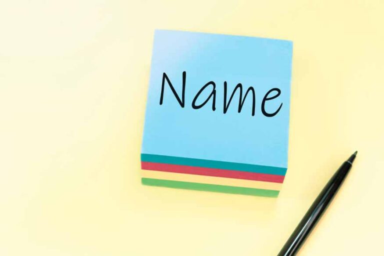 Unveiling the Face of the Beast: What’s the Official Name for the Front of a Lorry?